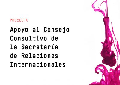 Capacitación en Relaciones Internacionales a Través de la Creación del Consejo Consultivo y la Escuela